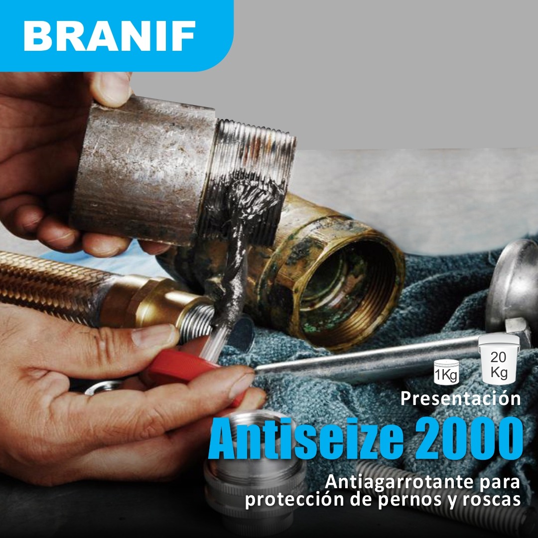 ANTISEIZE 2000